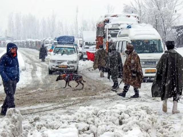 Heavy Snow in Hills to Chill North India Plains Soon