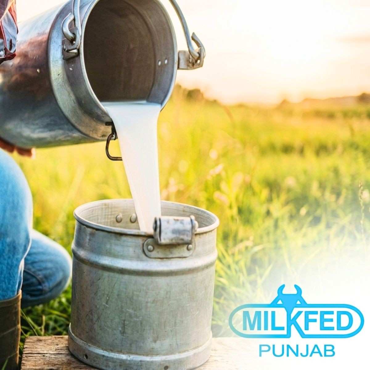 Milkfed Milk Price Hike 2026 Punjab Increases Verka Rates