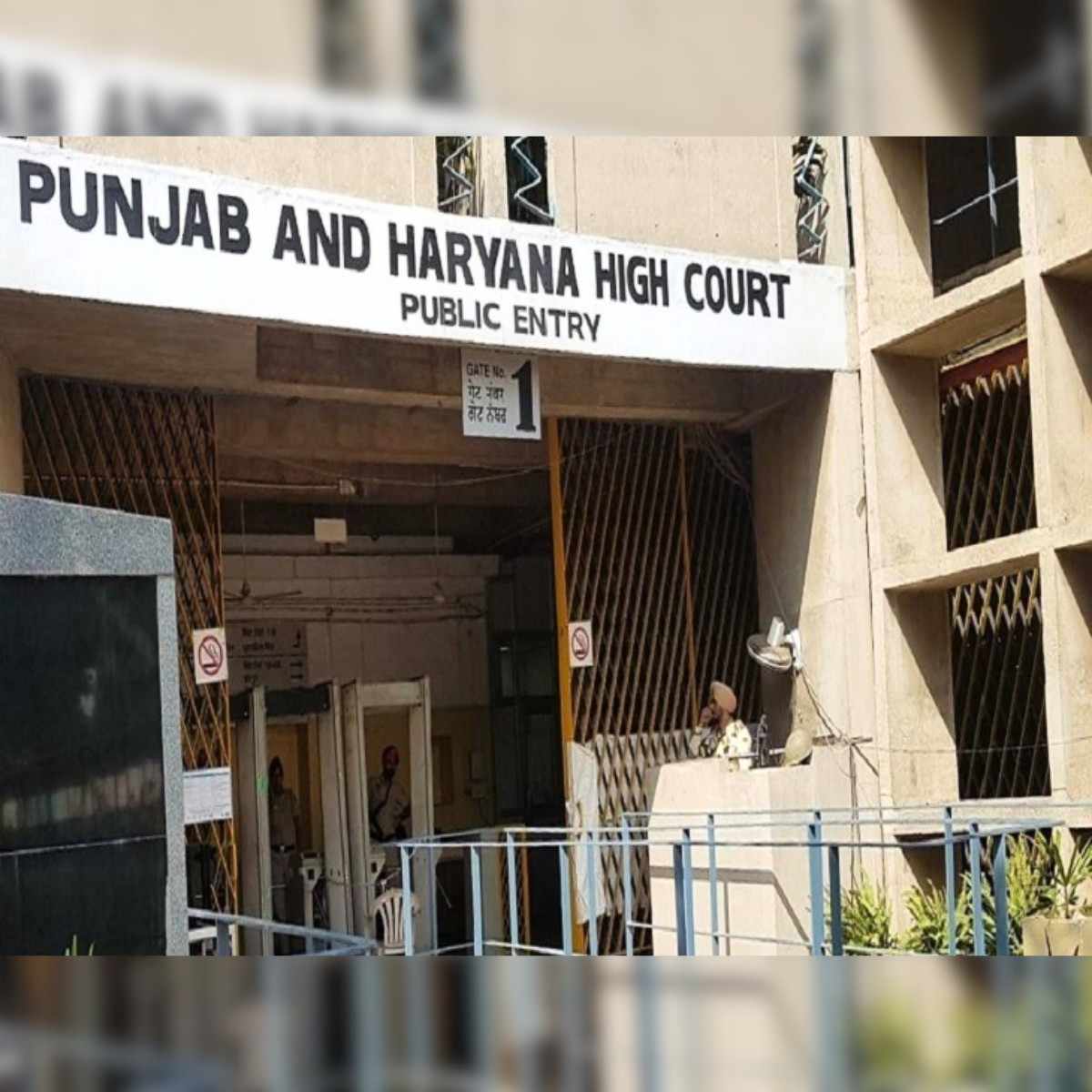 HC Gives Big Relief to Guest Teachers in Haryana Case