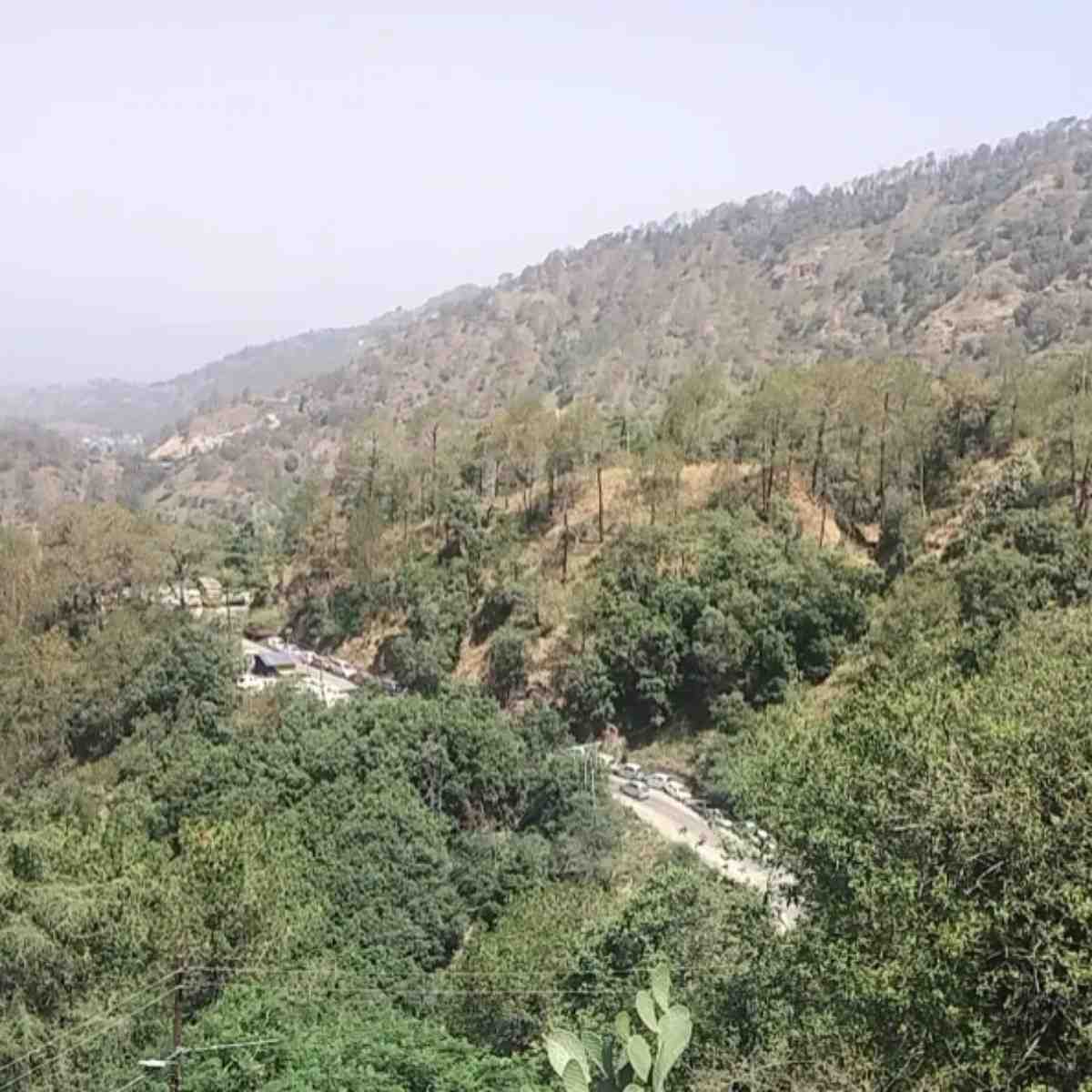 Himachal Bakes Under Heatwave 44°C, Alert Issued