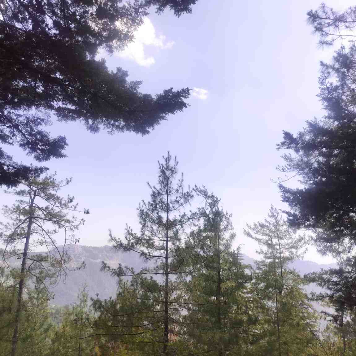 Himachal Weather Update Rain Heatwave Alert This Week