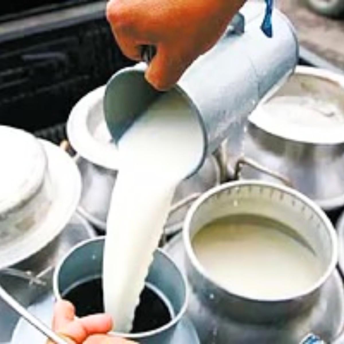 Milk Under Scanner in Punjab After Lab Report Shock