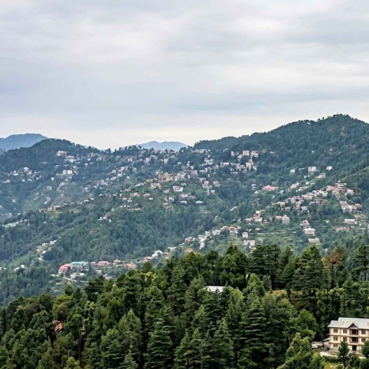 Rain Brings Big Relief After Scorching Heat in Himachal