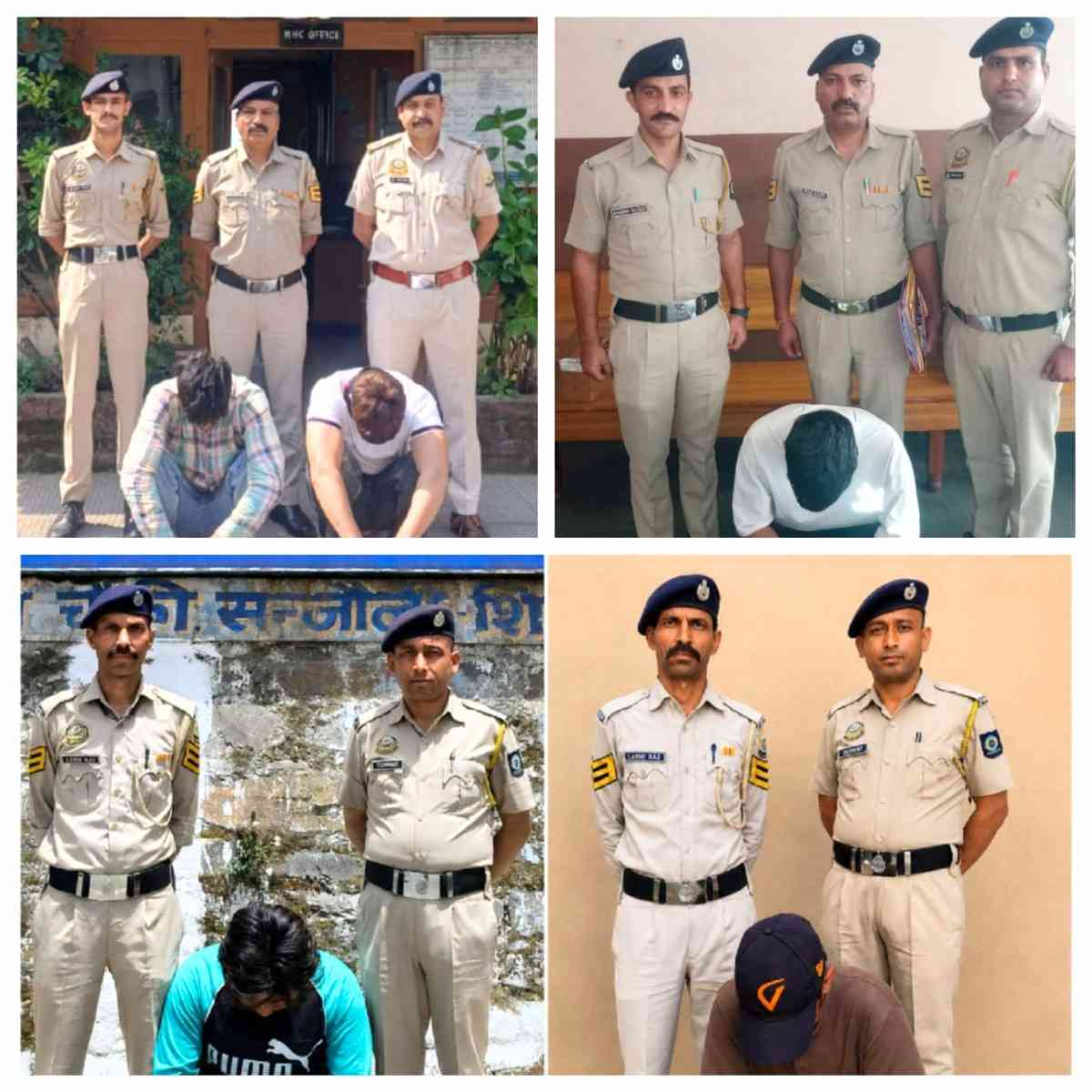 Shimla Drug Smuggling Network Busted Police Major Action