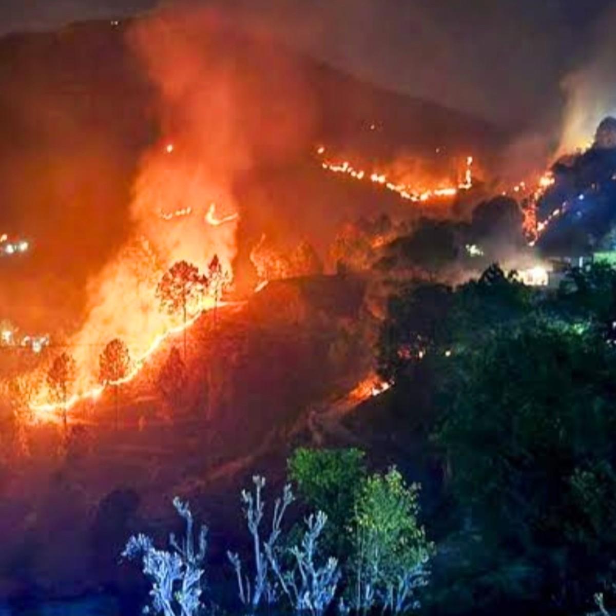 Toll Free Number for Forest Fire Alerts Released in Himachal