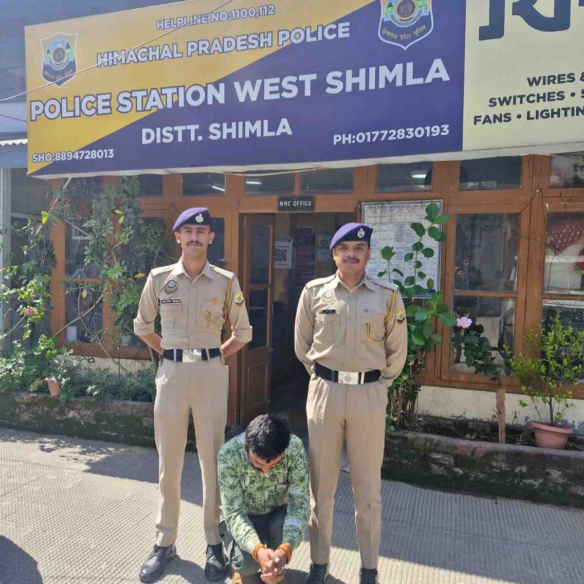 Youth Held With Chitta in Shimla During NH-05 Checking