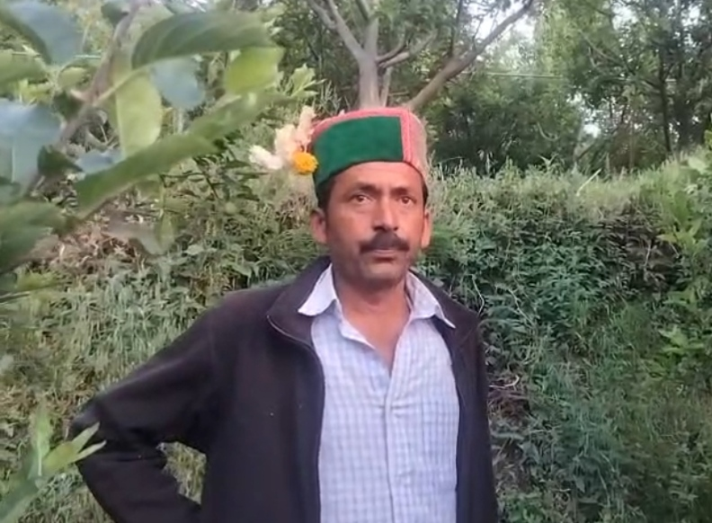 Karsog Hailstorm Crop Damage Hits Pea and Apple Farms