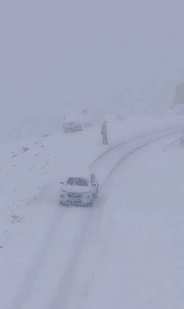 Fresh Snowfall Boosts Tourism in Lahaul-Spiti