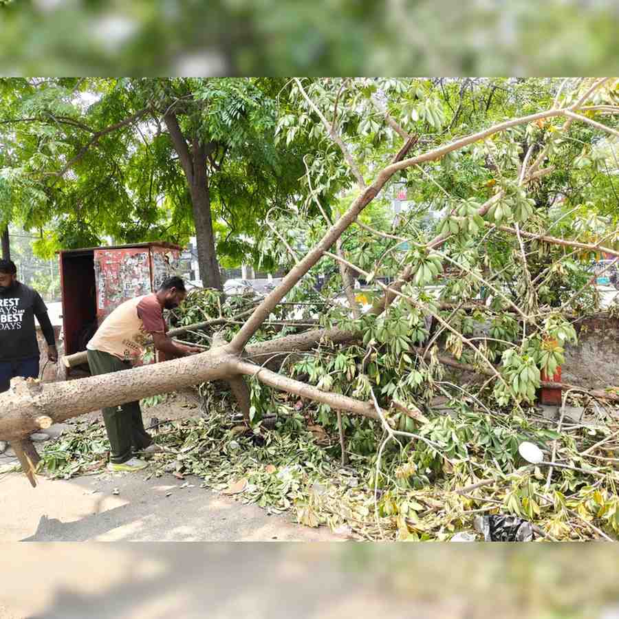 Amritsar Storm Cleanup Drive After Severe Thunderstorm