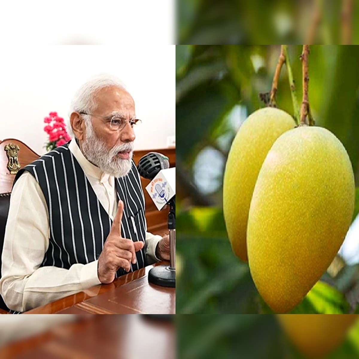 Bhagalpuri Jardalu Mango Wins Global Spotlight