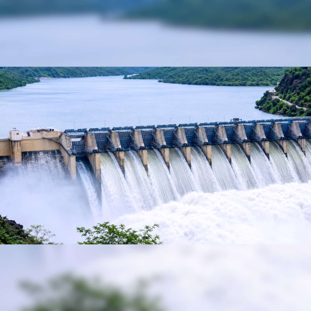 Bhakra Dam Water Level Surges, More Water Release Likely
