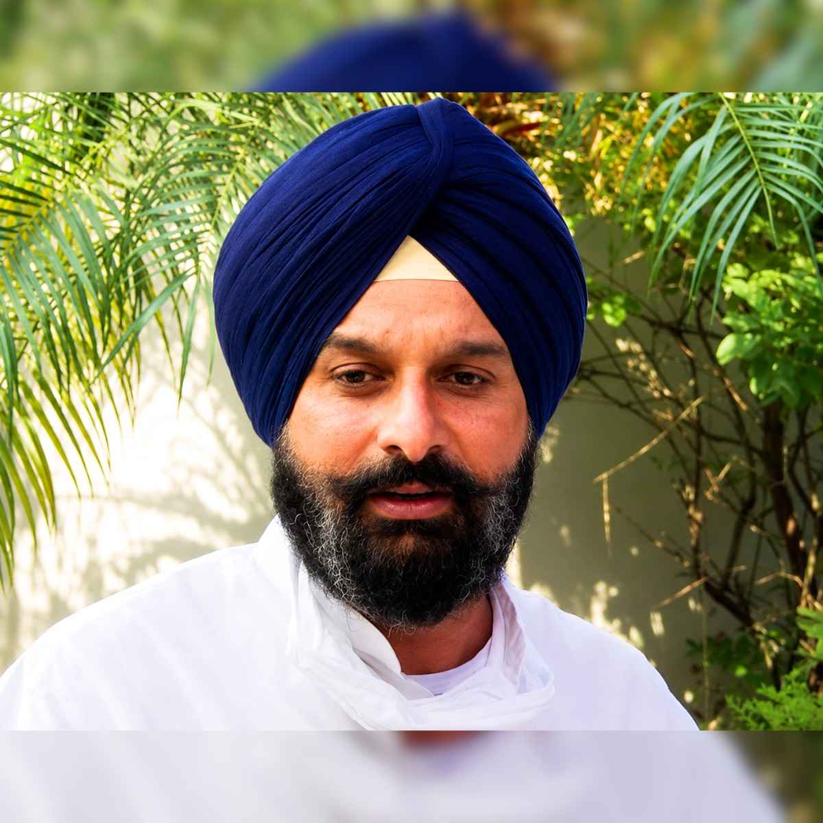 Bikram Singh Majithia Gets Interim Bail Amritsar Court Case