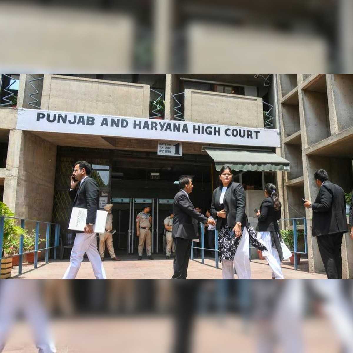 High Court Rejects Live-in Petition in Major Ruling