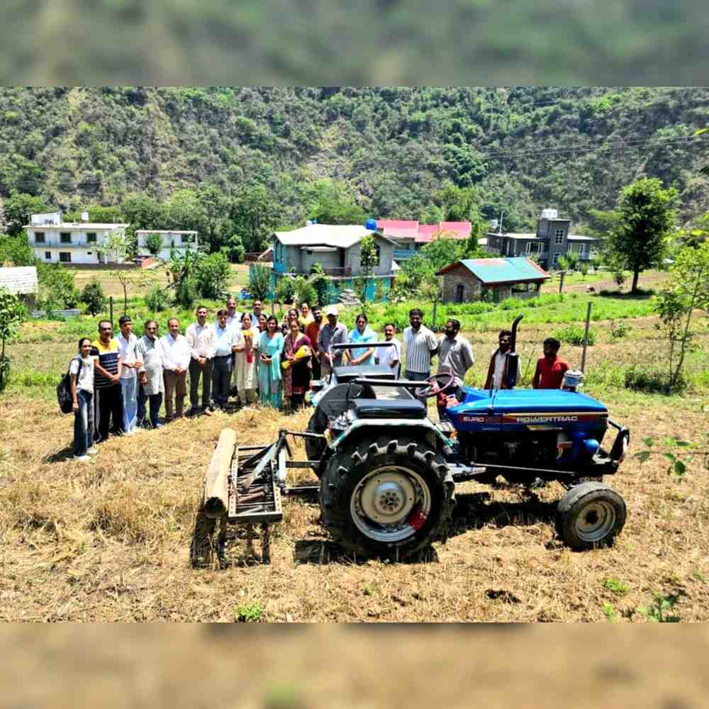 Himachal First Mango Cluster Project Begins in Mandi