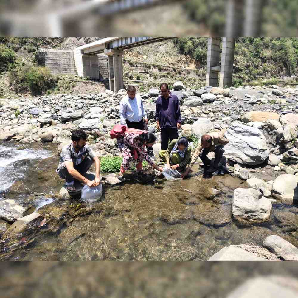Mahseer Fish Conservation Drive Launched in Mandi