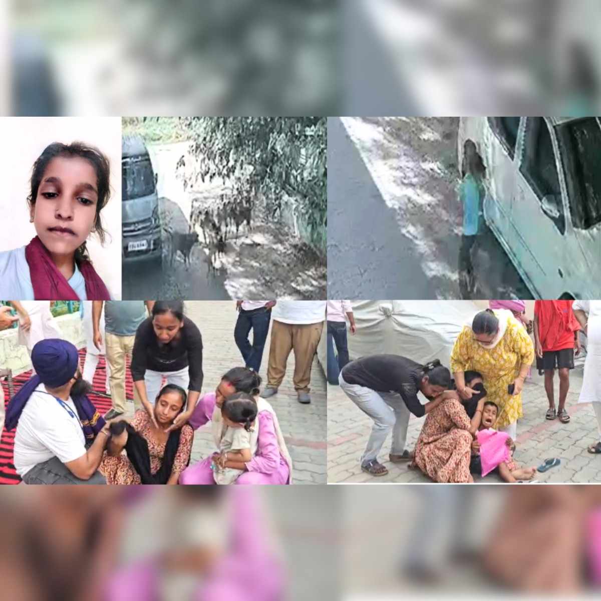 Stray Dog Attack in Morinda 8-Year-Old Girl Dies