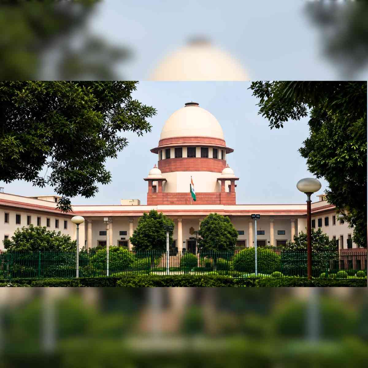 Supreme Court Urges Stronger Forest Protection in India