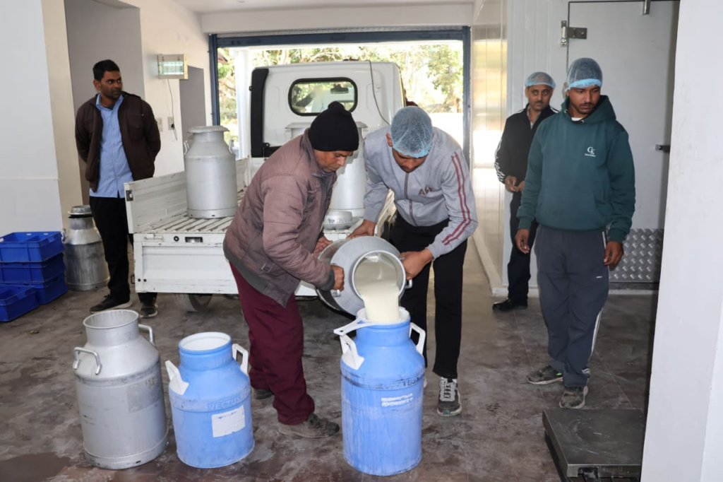 Kangra Dairy Revolution: Milk Price Boosts Farmers