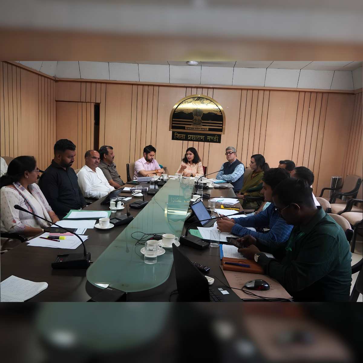 Mandi Census First Phase Review Held via Video Conference